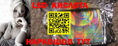 индика Аргун