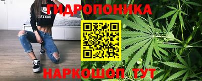 индика Аргун