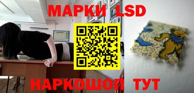 индика Аргун