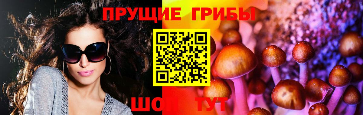 Галлюциногенные грибы MAGIC MUSHROOMS  Вход с VPN  Галлюциногенные грибы прущие грибы  Бугуруслан 